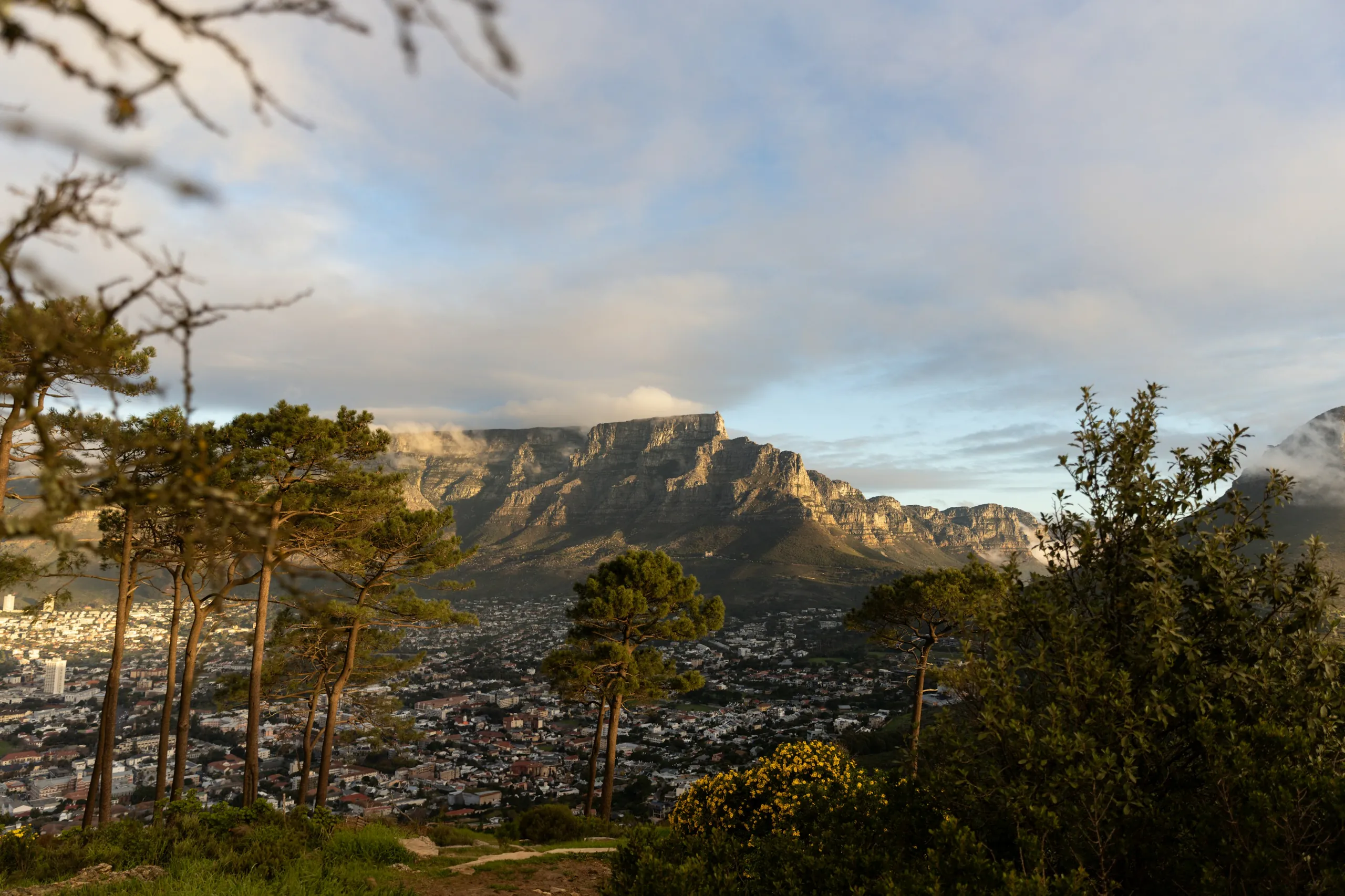 Cape Town with Table Mountain behind